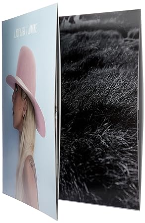 Lady Gaga-Joanne Double vinyl