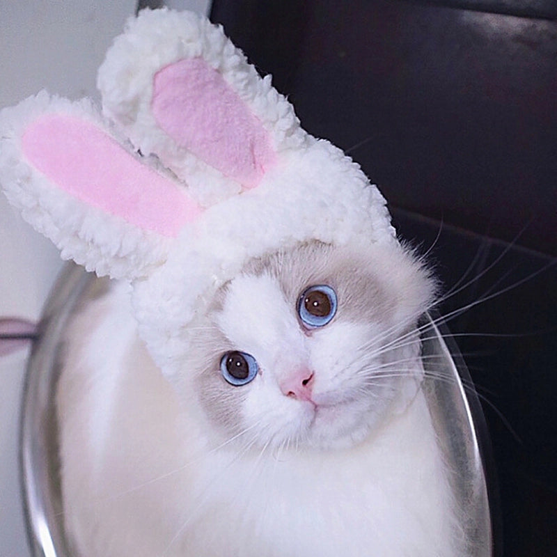 Pet Cat Rabbit Headgear Transformation Hat Cat Headwear Performance Props Funny Pet Hat Rabbit Ear Hat
