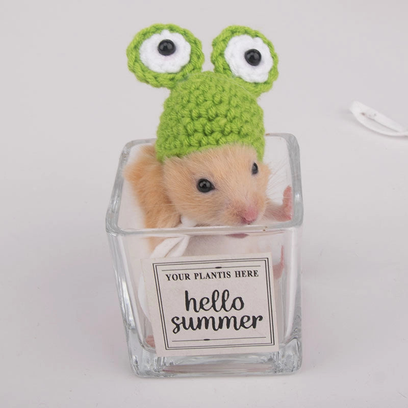 Hamster Hat Parrot Hair Band Photo Small Animal Headdress Handmade Frog Hat Ornaments Hedgehog Headgear Explosions