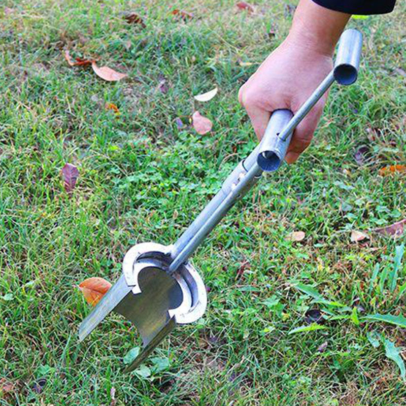 Plant and fruit tree seedling transplanter