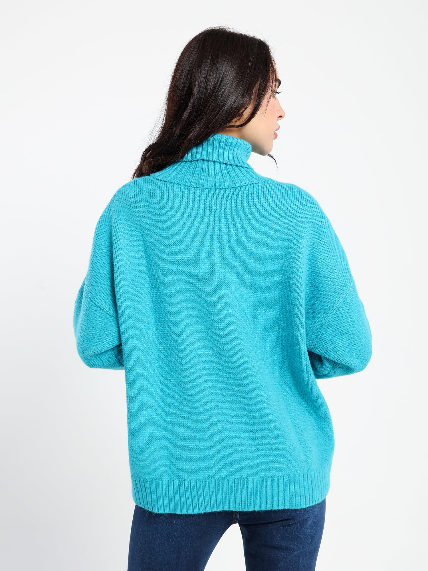 Casual Knitwear Pullover Turtleneck