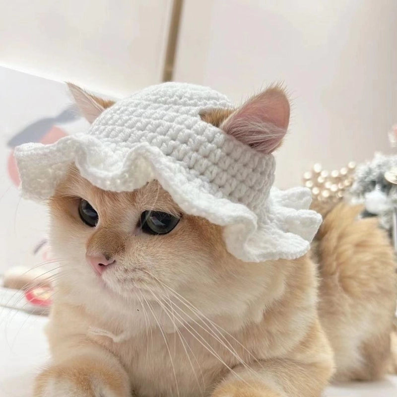 Cute Acrylic Cartoon Pet Hat