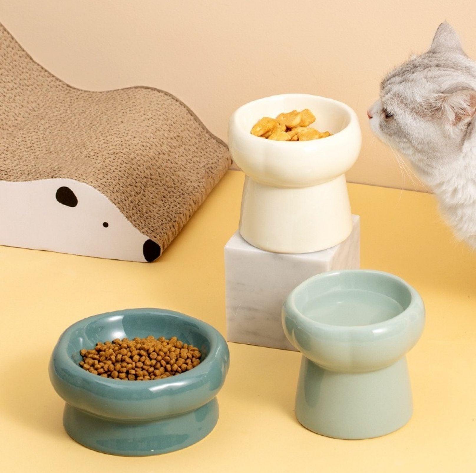 Petal Style Ceramic Cat Bowls and Small Dog Bowls