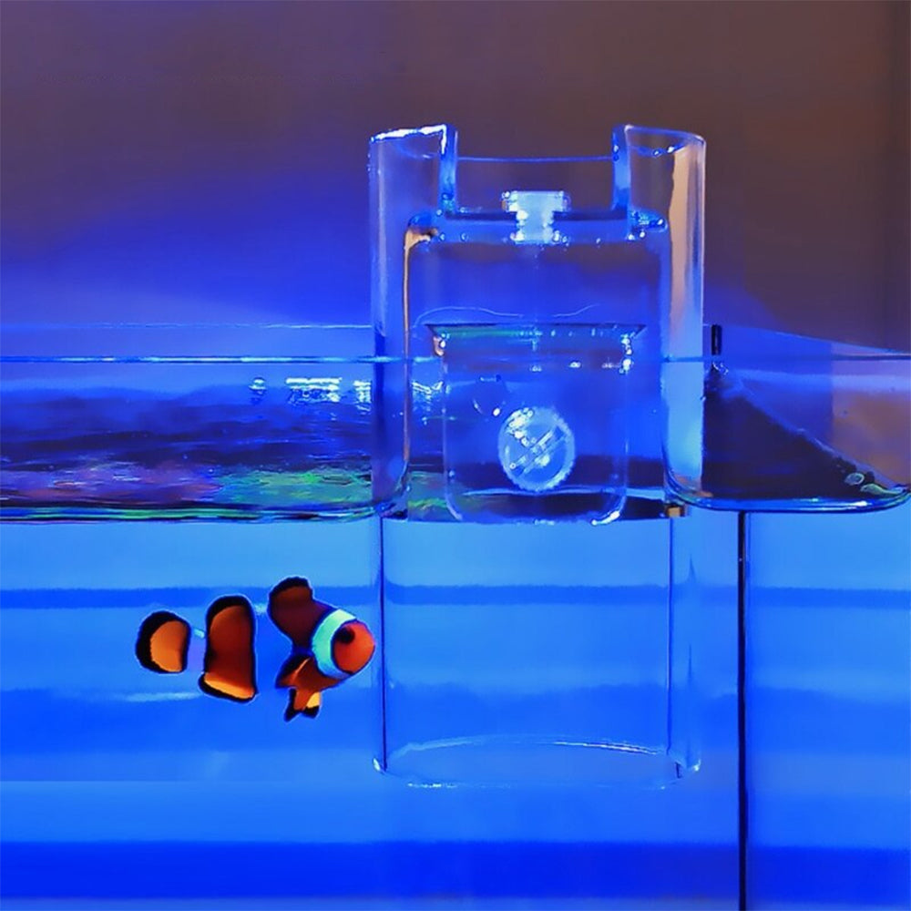 Transparent Acrylic Floating Food Feeder For Aquarium