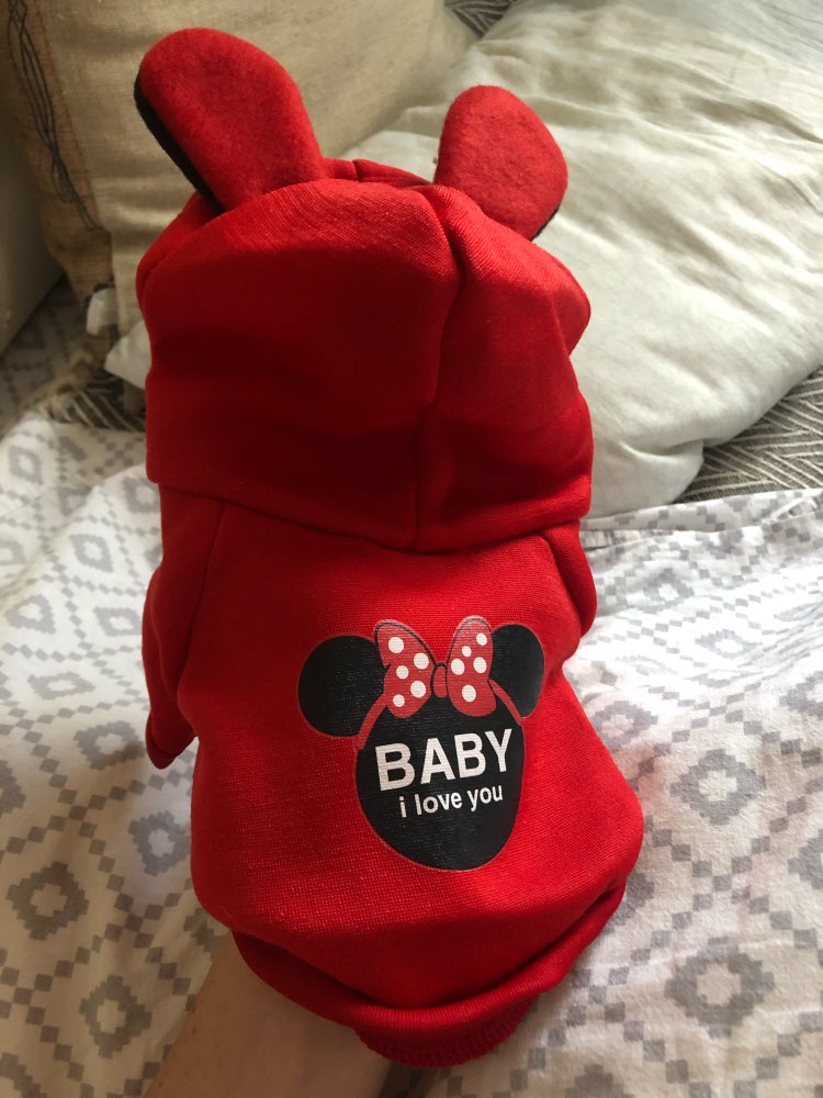 Mickey mouse Pet Hoodie- Spring