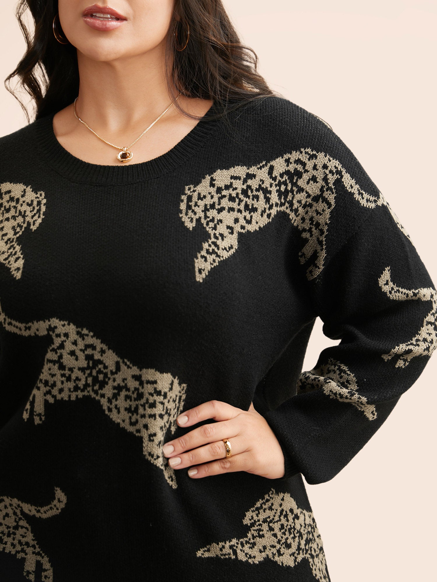 Animal Jacquard Drop Shoulder Sleeve Pullover