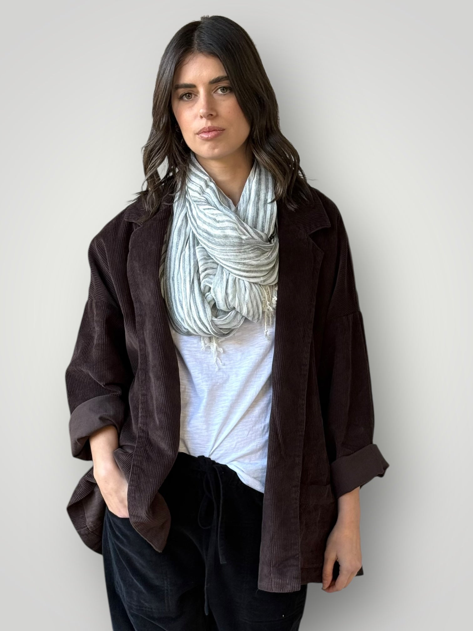 albert blazer - chocolate cord