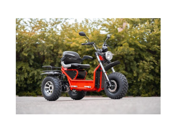 🔥Factory direct sales-All Terrain Off Road Mobility Scooter 80km Battery Life-Free three-year warranty