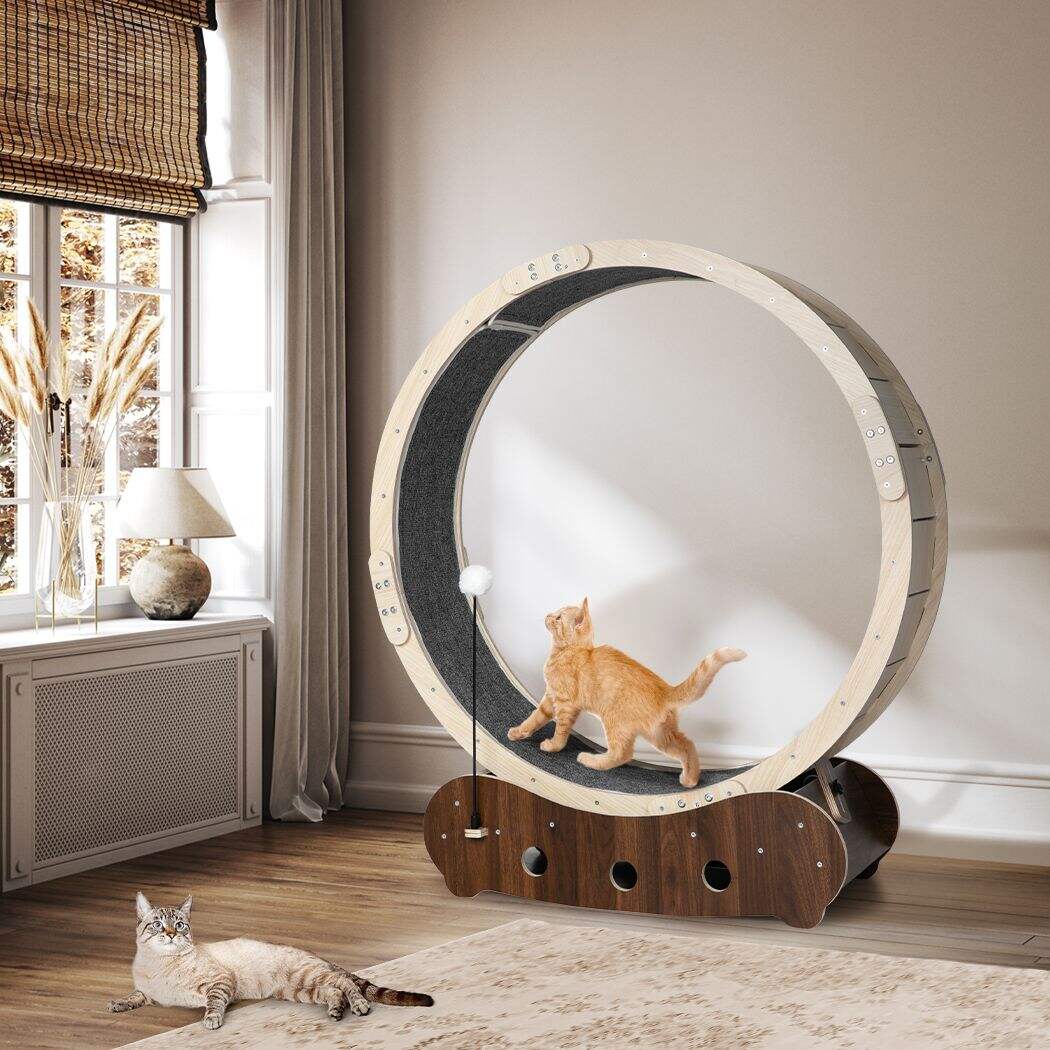 Cat Exercise Wheel/ Cat Treadmill