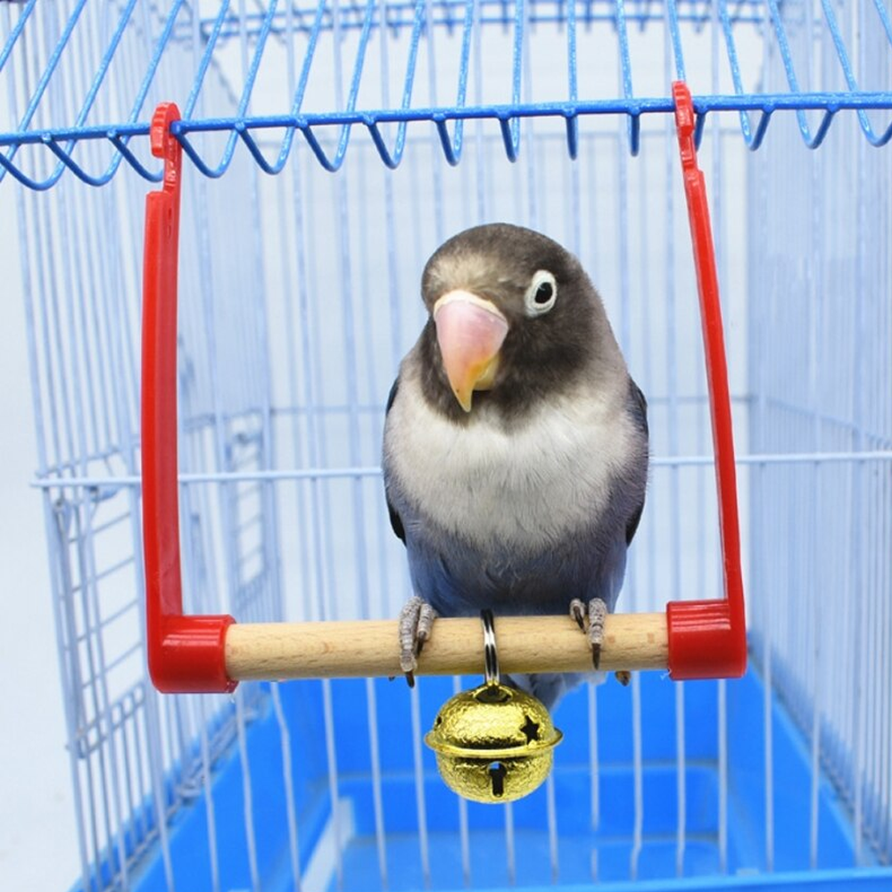 Bird Swing Toys