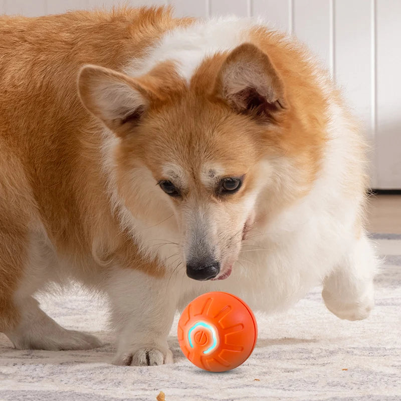 Interactive Durable Chew Ball for Dogs
