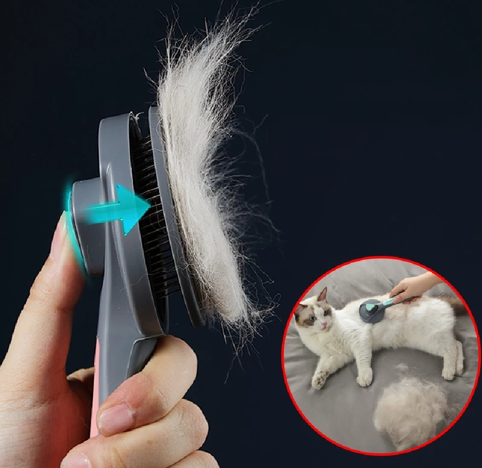 Cat Brush