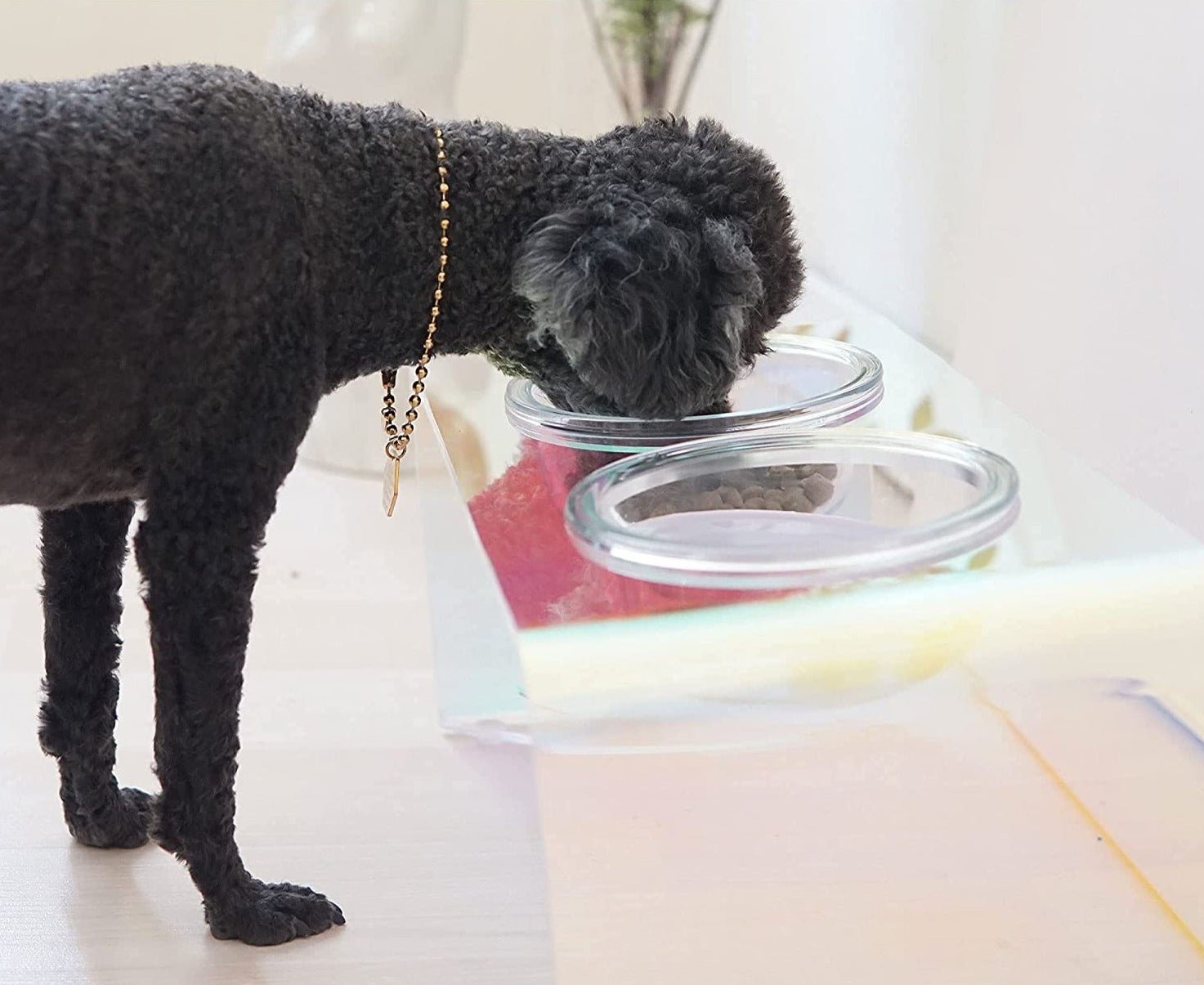 The Holographic Aurora Elevated Pet Feeding Table - Pre Order