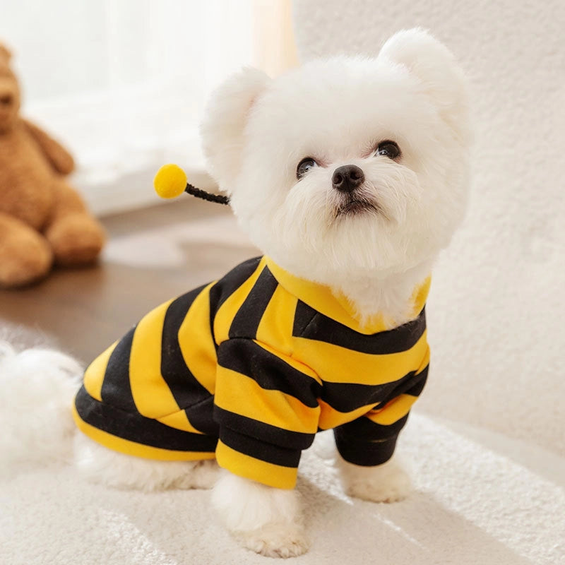 Cute Little Bee Autumn/winter Dog Sweatshirt Cat Two-leg Transformation Pet Teddy Warm Clothes