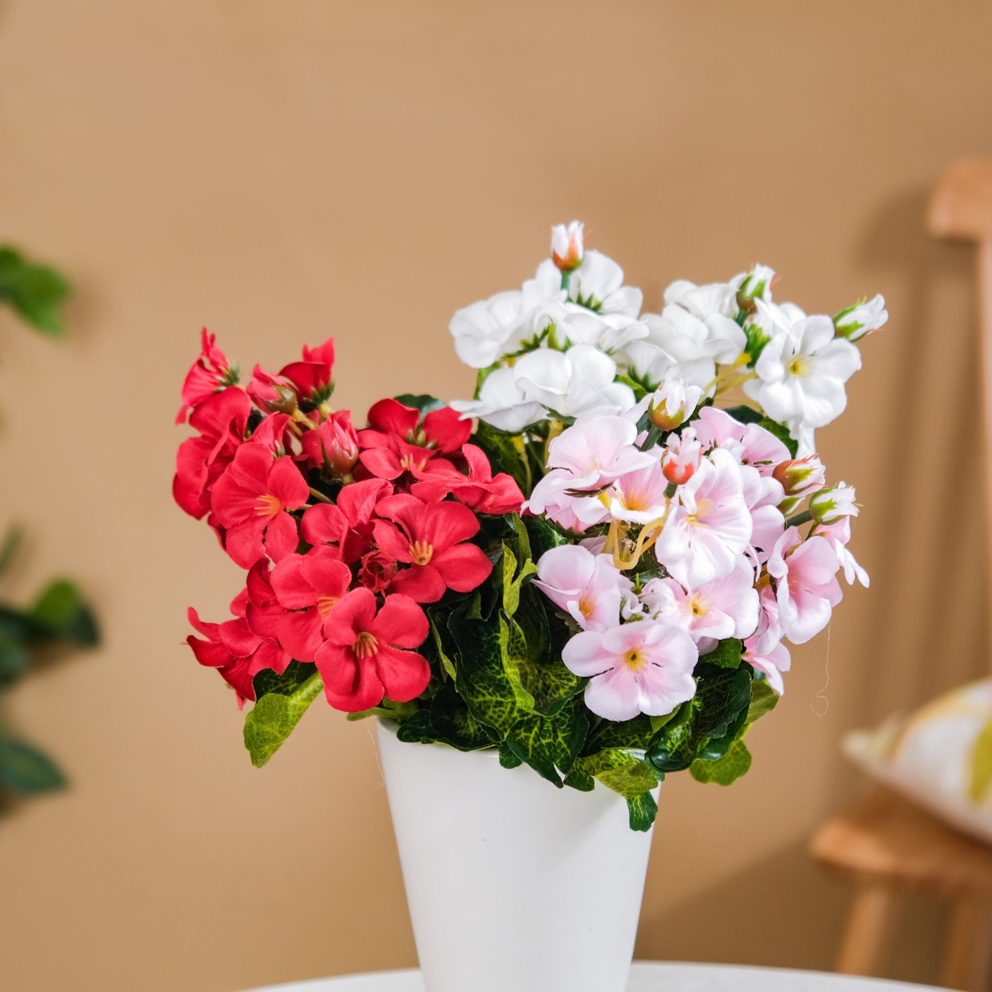 Begonia Flower Stem