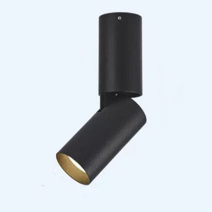 Damone | Surface Mounted Downlight