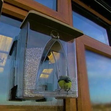 🐦2023 New Year Sale💝 Arch Window Bird Feeder🏠