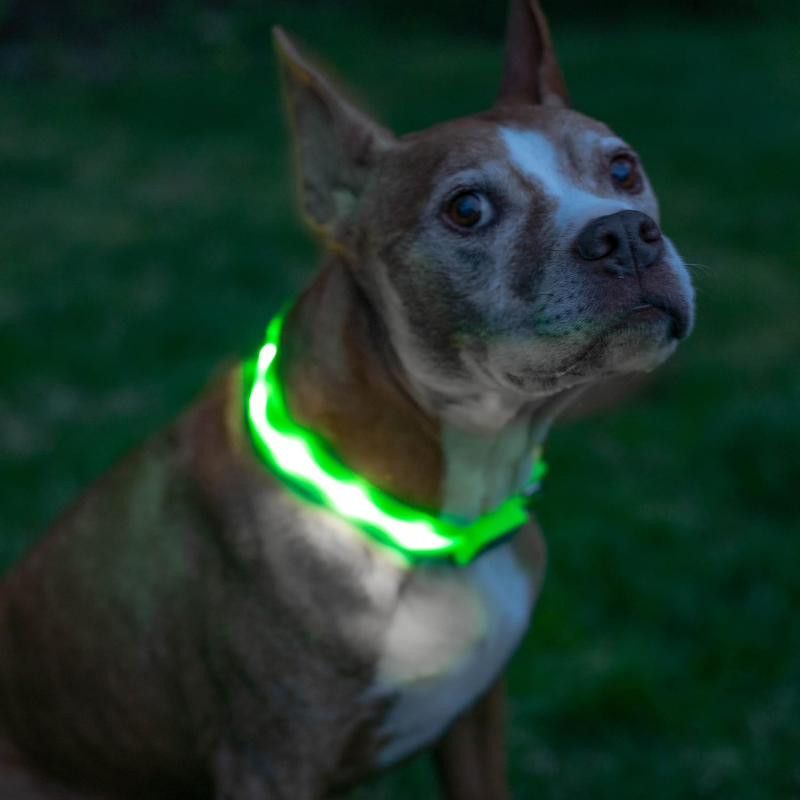 Adjustable Strap Design Dog Leash With LED Lighting