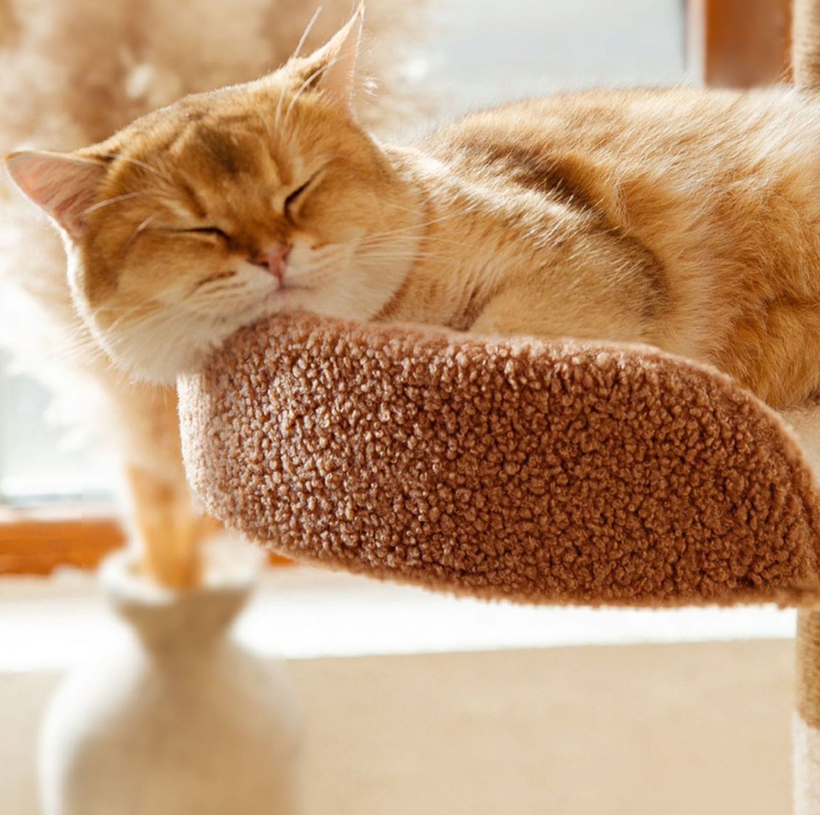 Ona's Cottage Multi-Tier Cat Tree with Cat Scratching Posts