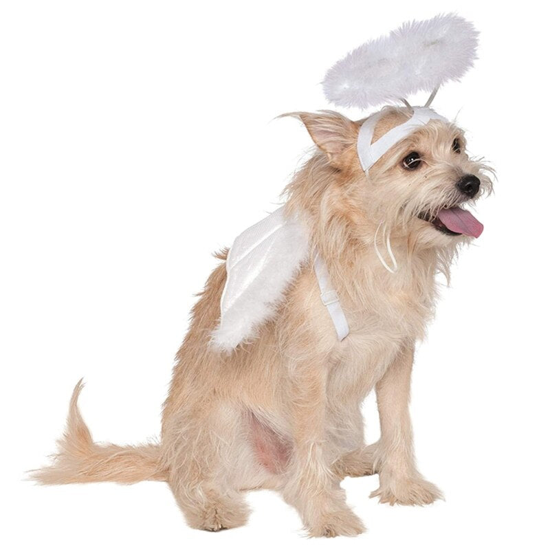 Dog Cat Feather Angel Halo Wing Pet Costume