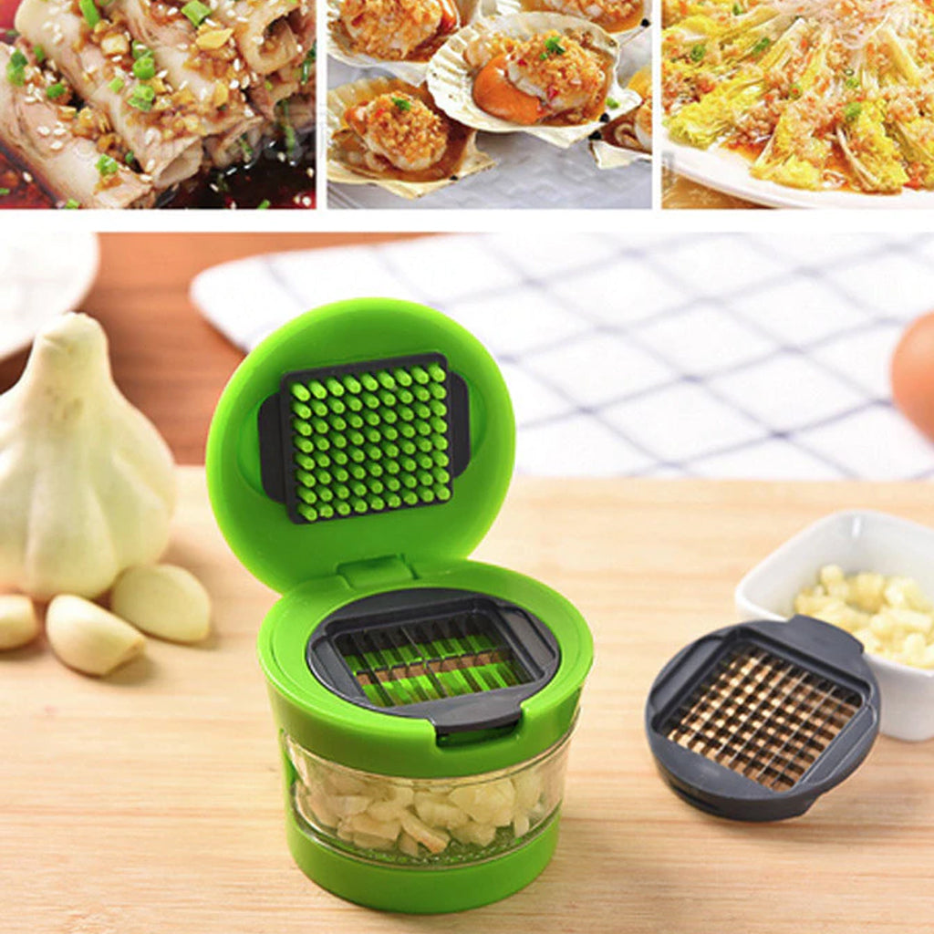 Mini Garlic Press Chopper.