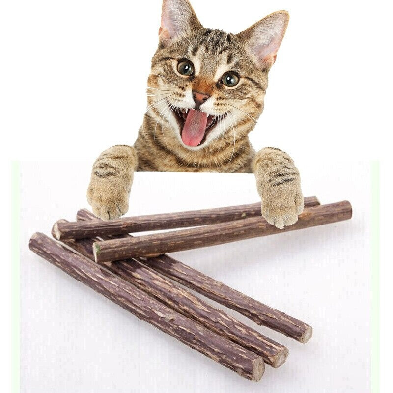 Natural Catnip Toy