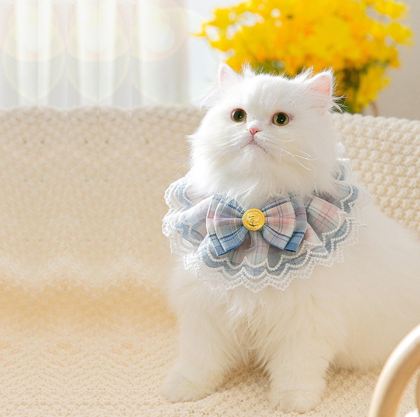 JK Style Lace & Bow Decorative Pet Bib