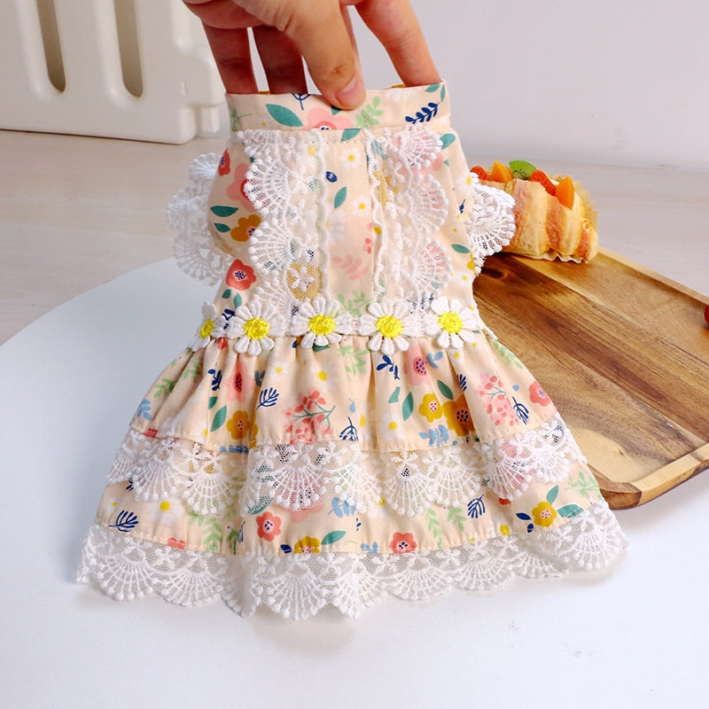 Floral Lace Design Dog Cat Dress