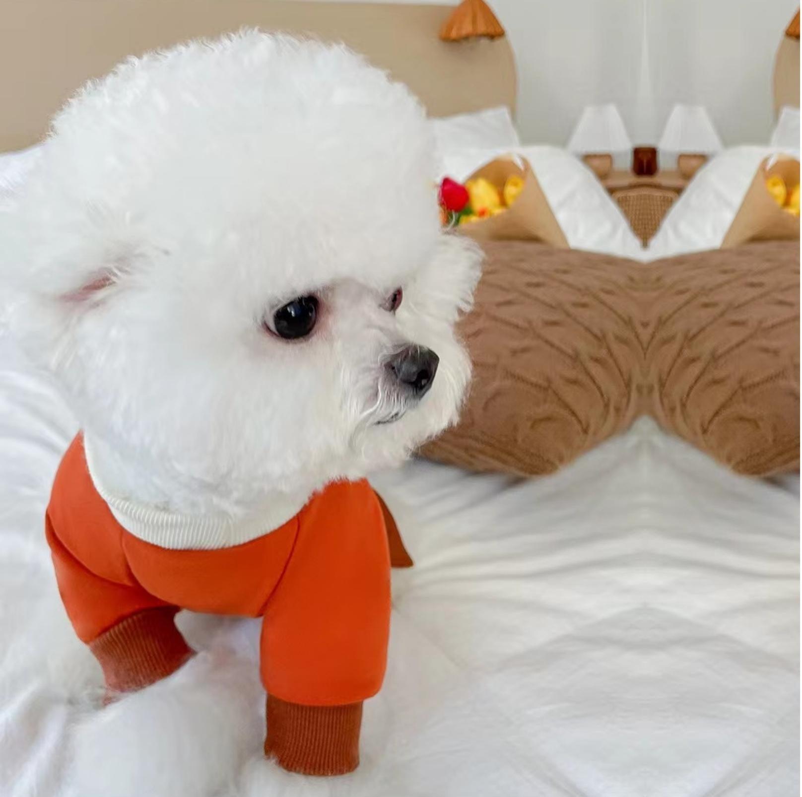 Versatile Colour Blocking Pet Sweatshirt