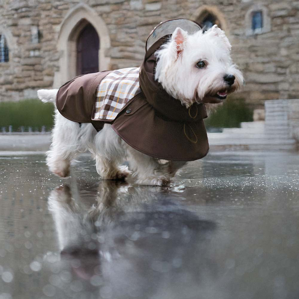 Waterproof Vintage Plaid Adjustable Dog Raincoat - All-Weather Protection