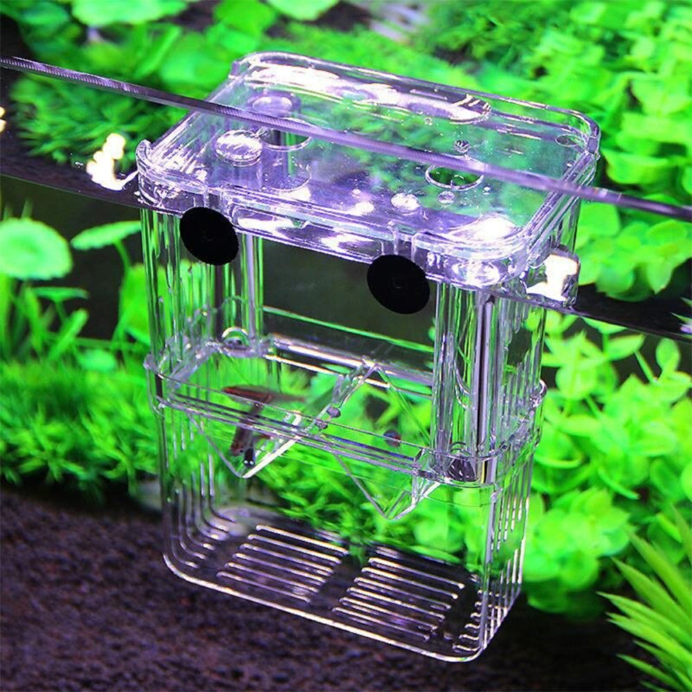 Multifunctional High Clear Fish Breeding Isolation Box