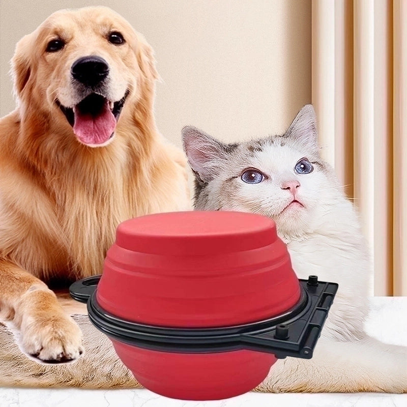 Minimalist Silica Gel Color Block Pet Tableware