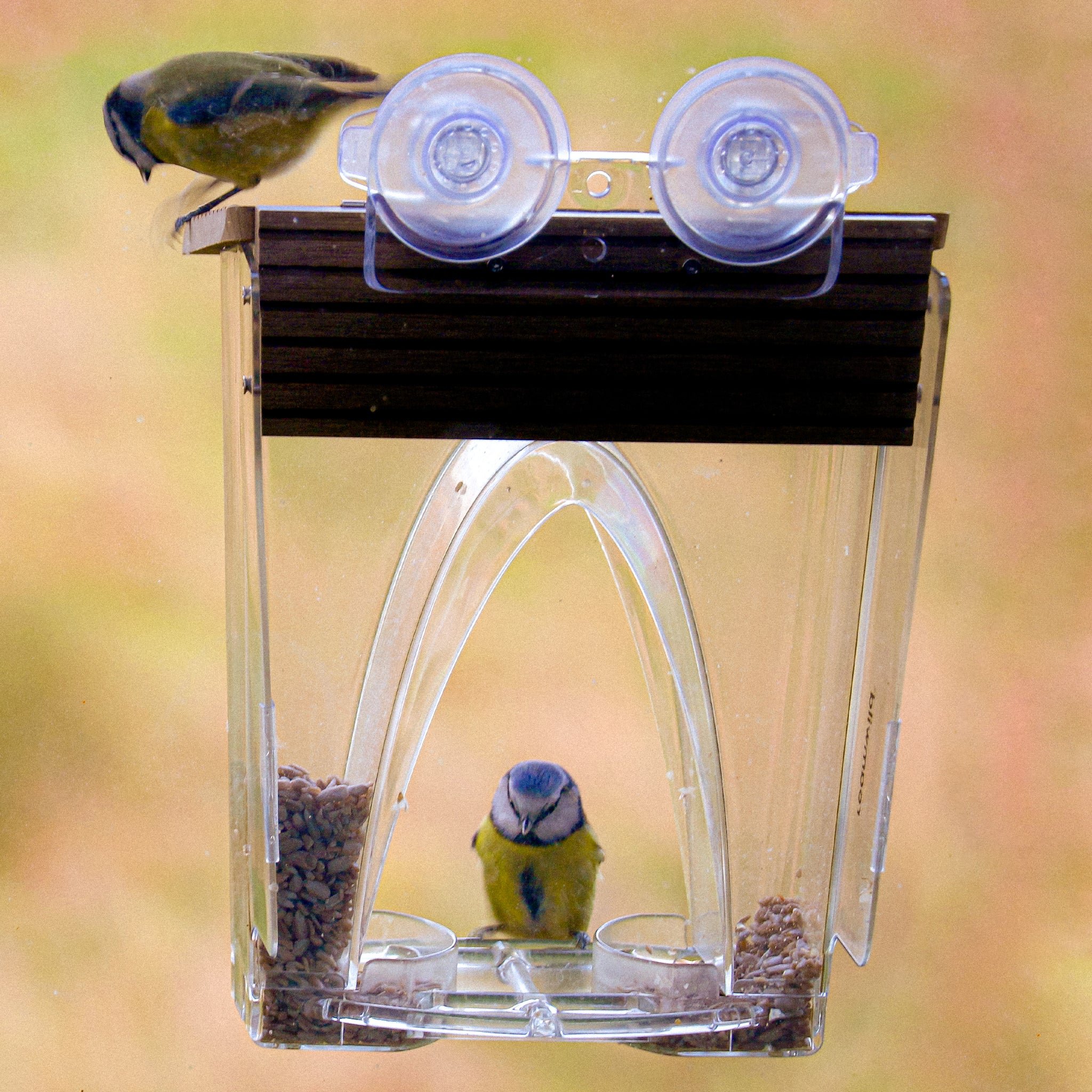 🐦2023 New Year Sale💝 Arch Window Bird Feeder🏠