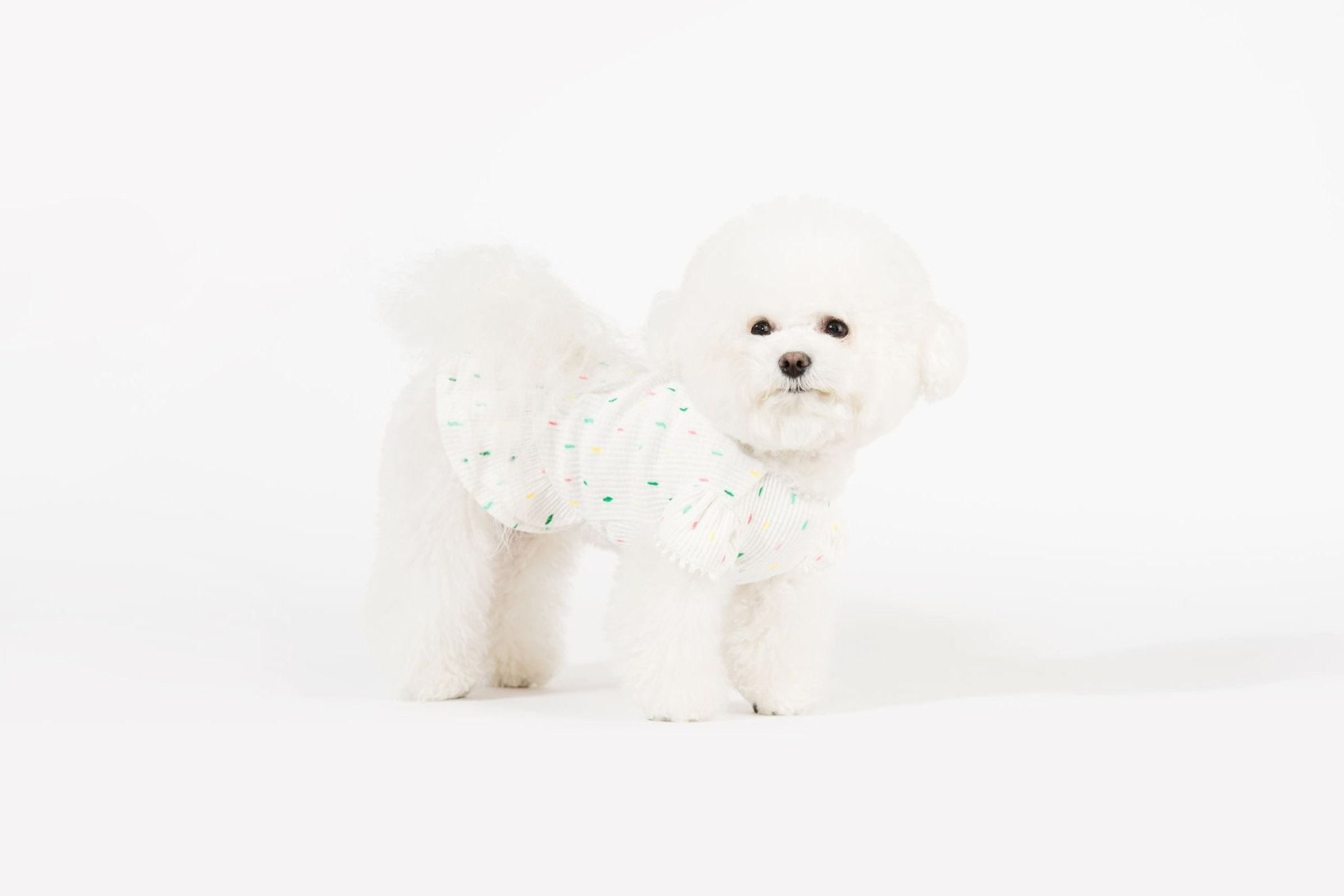 Bohemian Dog Dress
