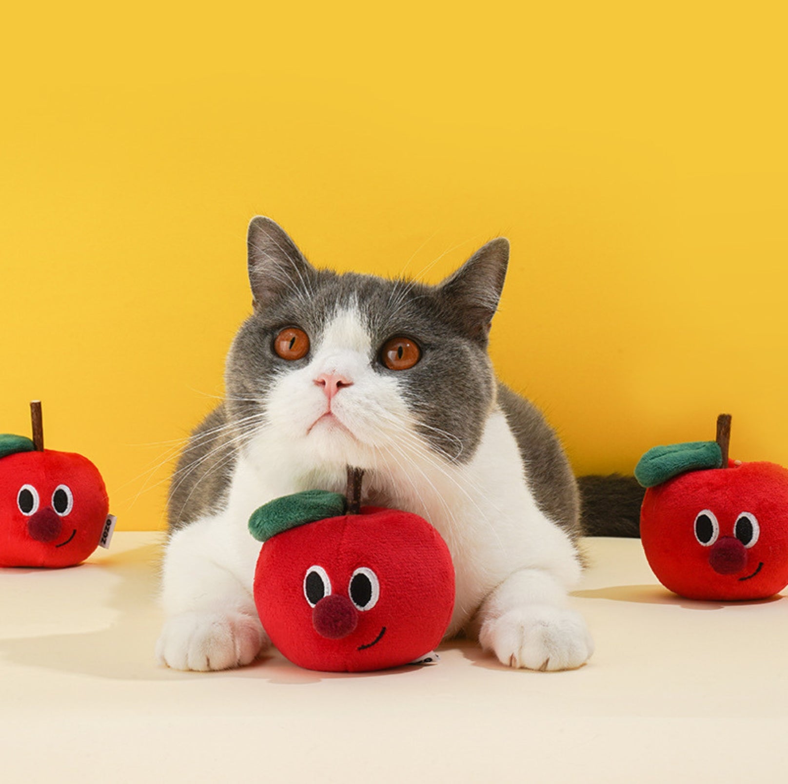 Apple-Shaped Polygonum Cat Toy