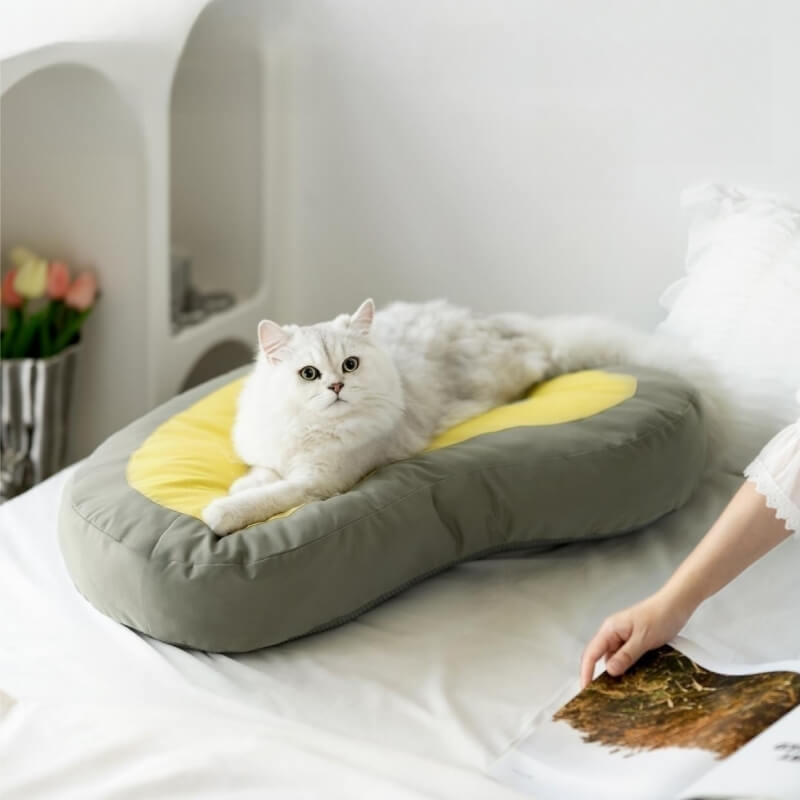 Pet Extra Thick Sleeping Mat Clock Dog & Cat Bed