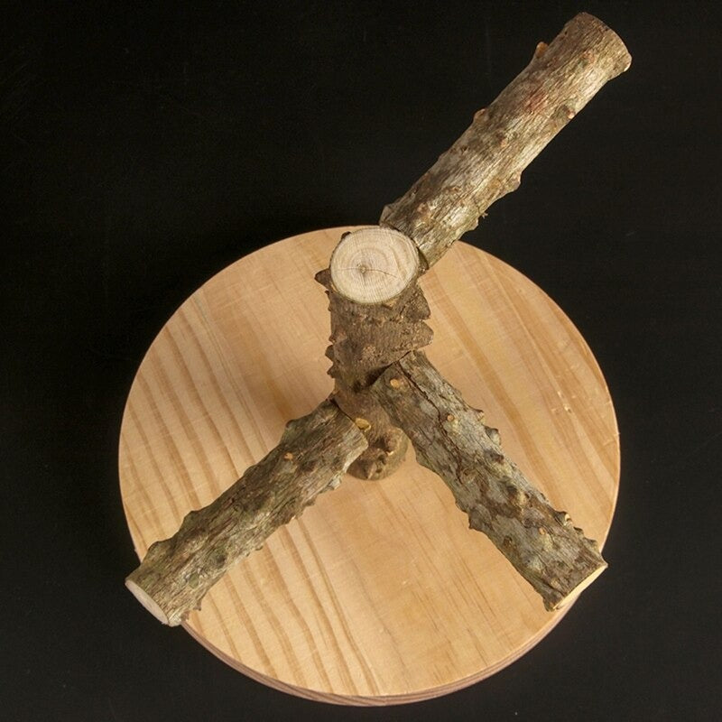 Wooden Bird Perch Stands With Base