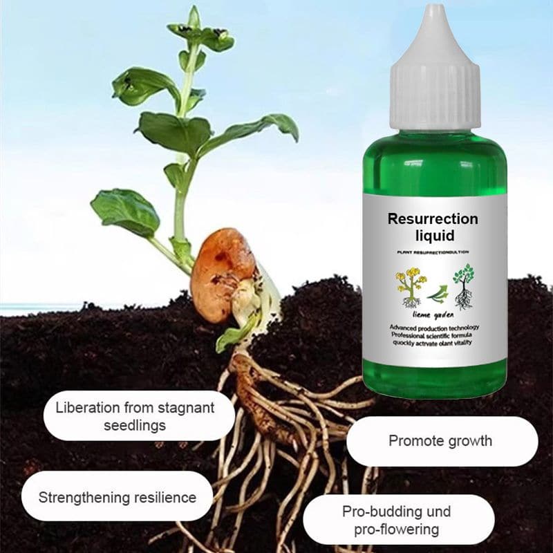 👍[Aanbevolen door plantenexperts]🌿Vloeibare oplossing voor activering van planten en bloemen