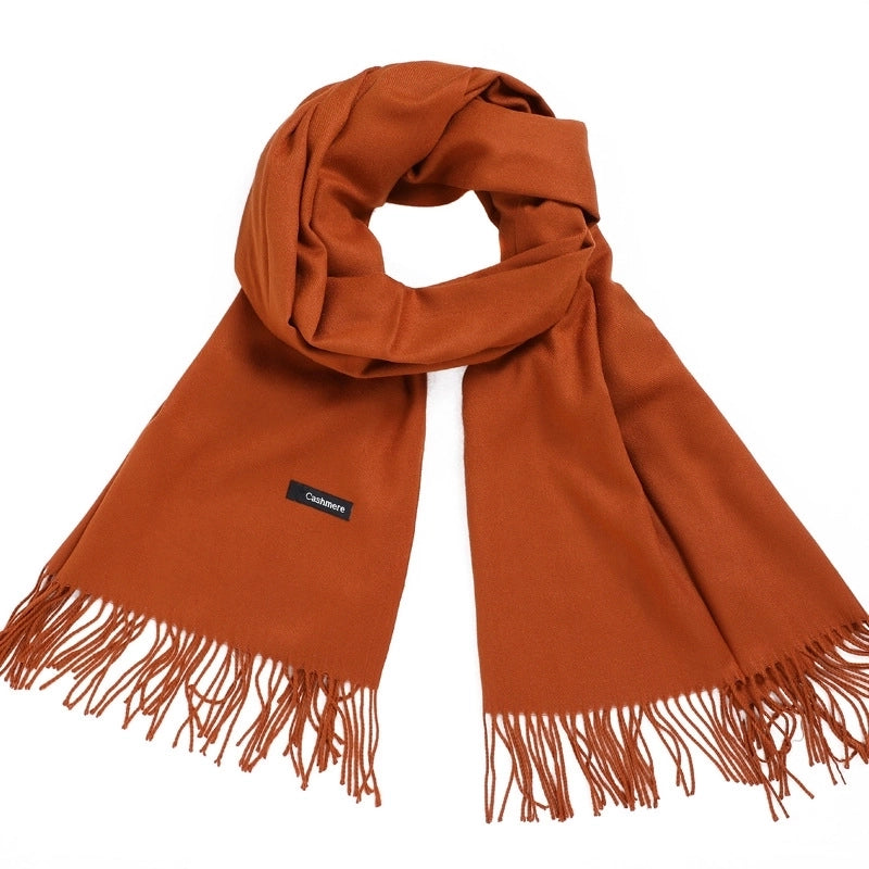 Women's Minimalist Tassel Solid Color Imitation Cashmere Scarf