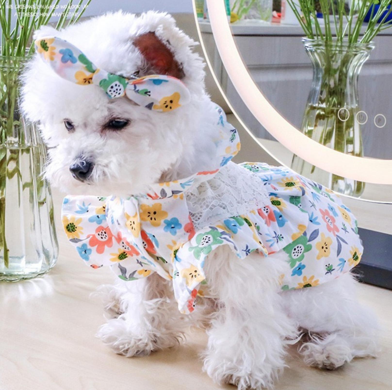Pet Lace Flower Dress