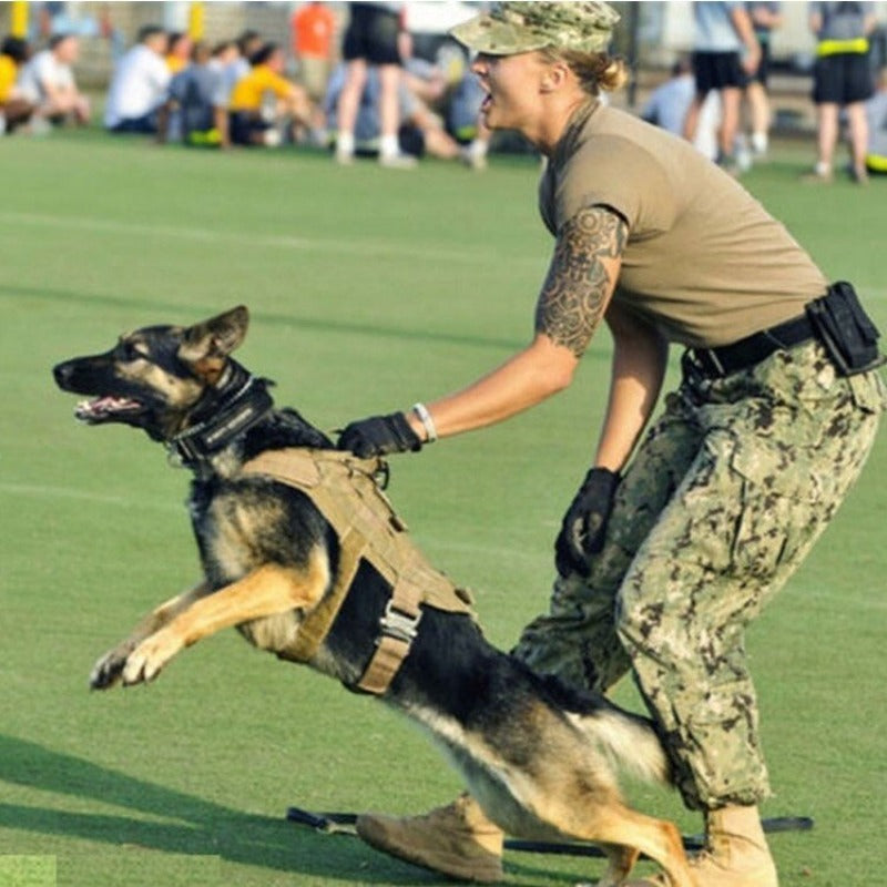 Service Pets Vest Harness