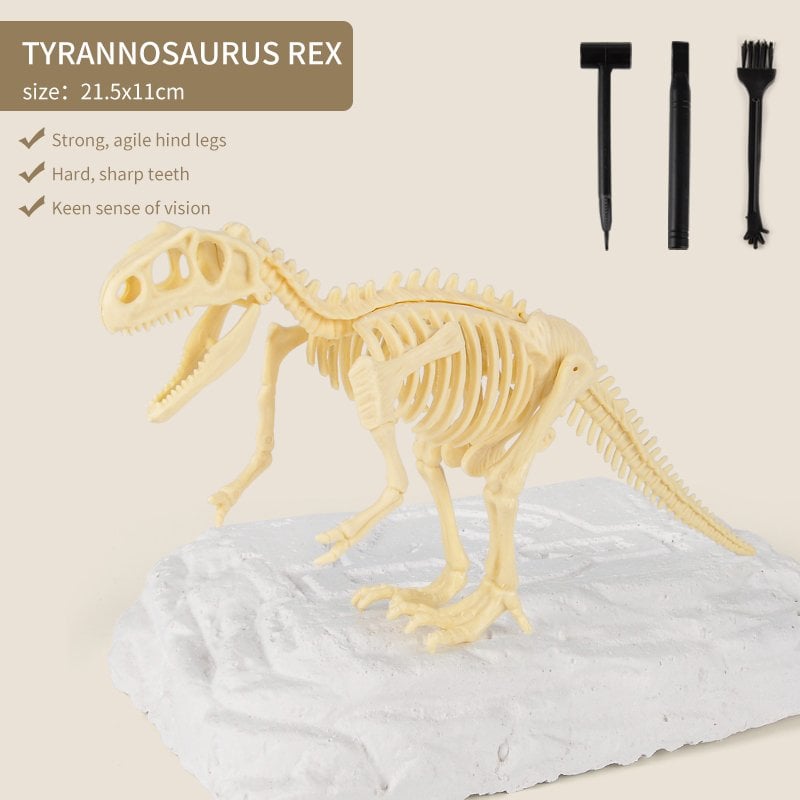 Great Educational Toy for Kids🎁2022 New Arrival Dinosaur Fossil Digging Kit - Get Three Tools For Free🔥