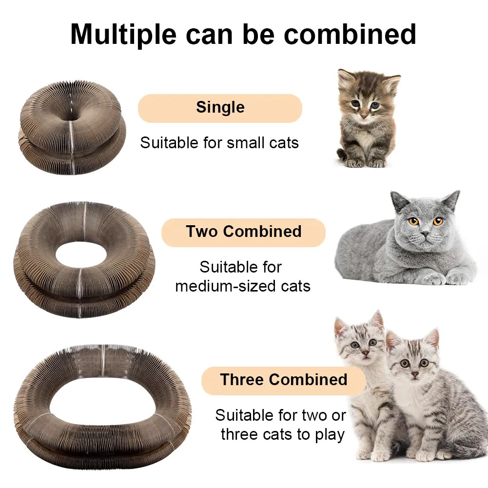 💥Last Day Promotion 70% OFF💥Organ Cat Scratching Board