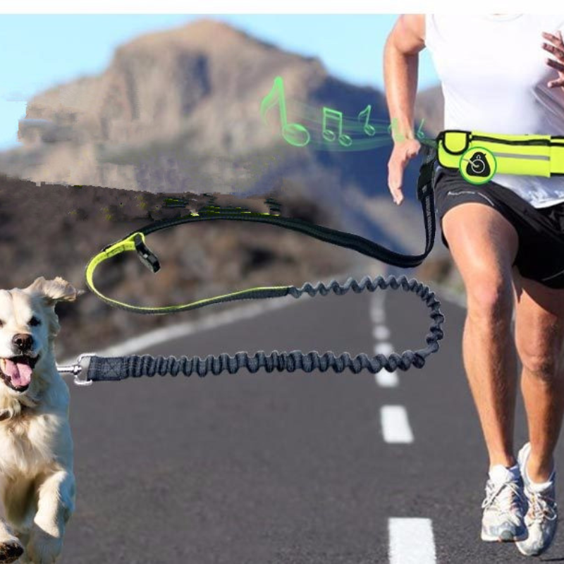Waist Pet Dog Leash