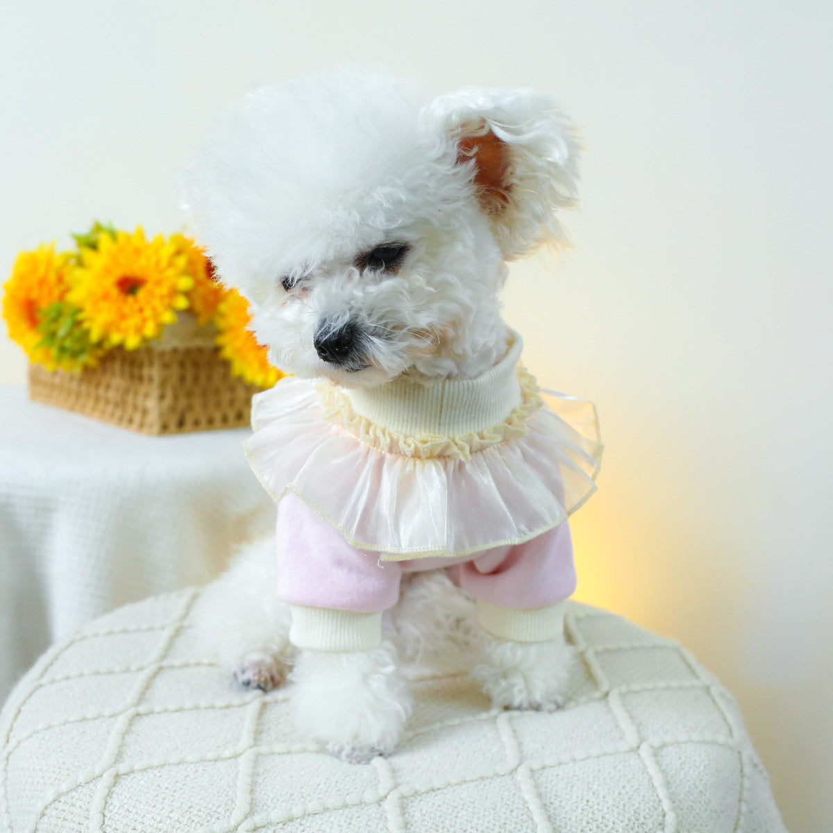 Cupcake Lace Collar Dog Cat Sweatshirt