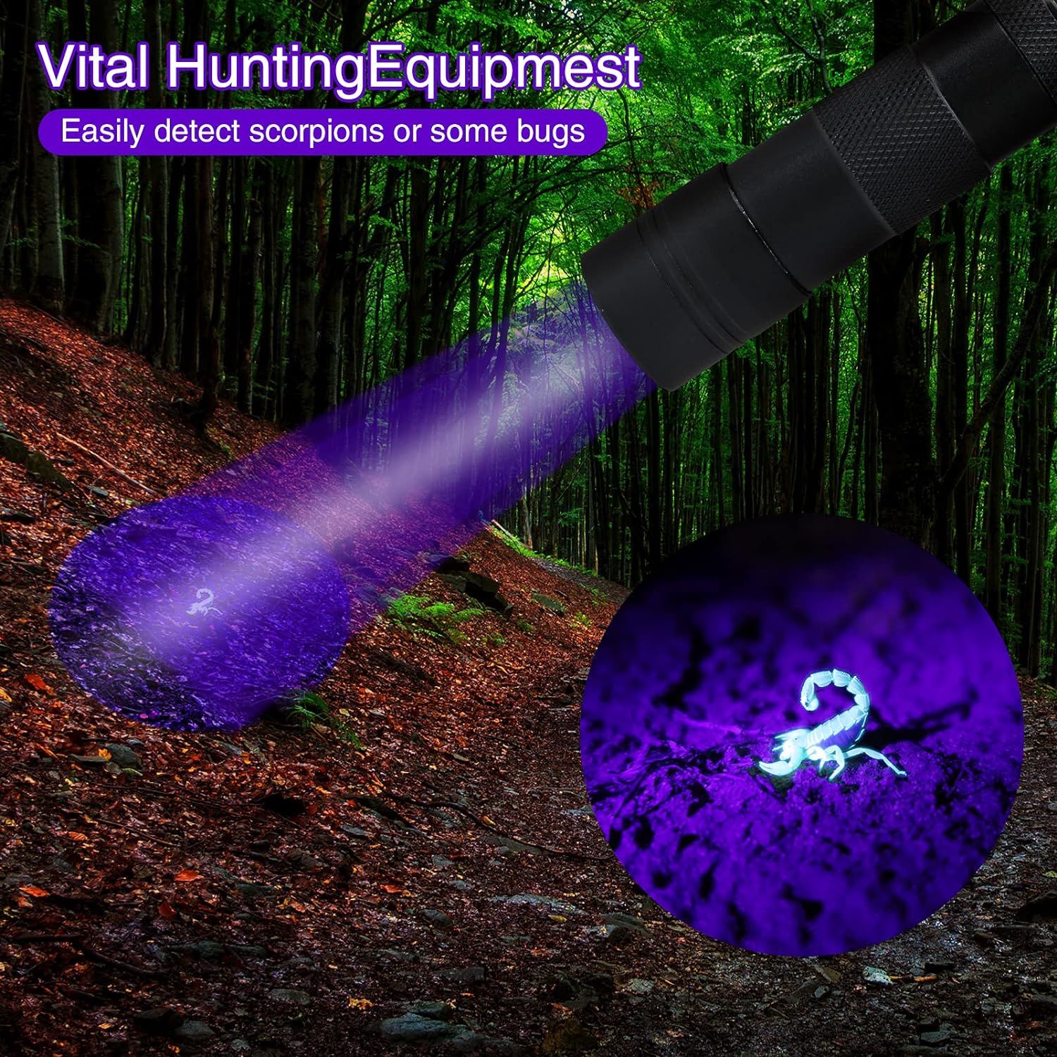 COSOOS 2 Pack UV Flashlight. 12 LED Handheld Blacklight Flashlight 395nm Mini Light Torch Detector for Dog Pet Urine Stains. Bed Bugs and Scorpions. (Batteries not Included)