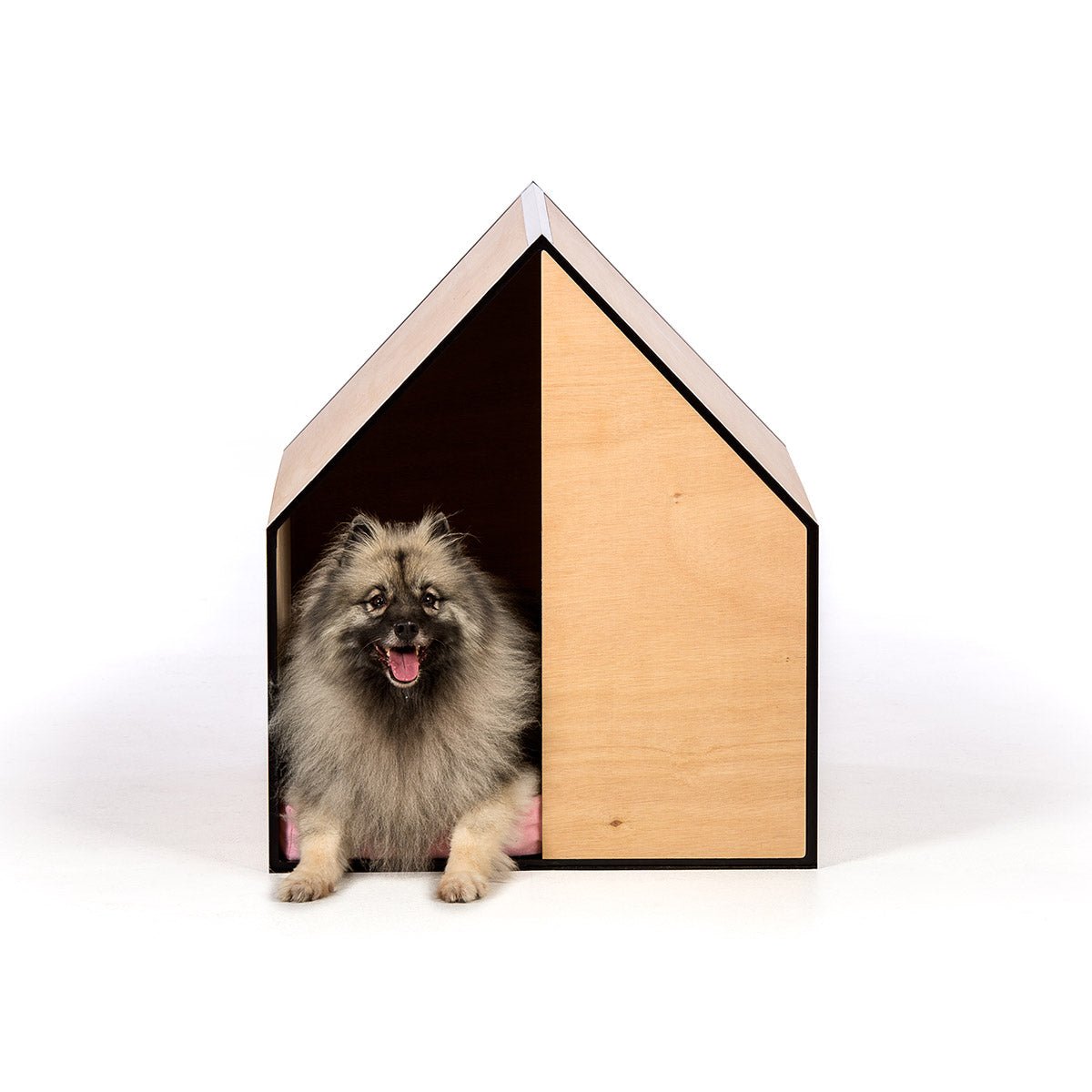 The Dog Room in Medium