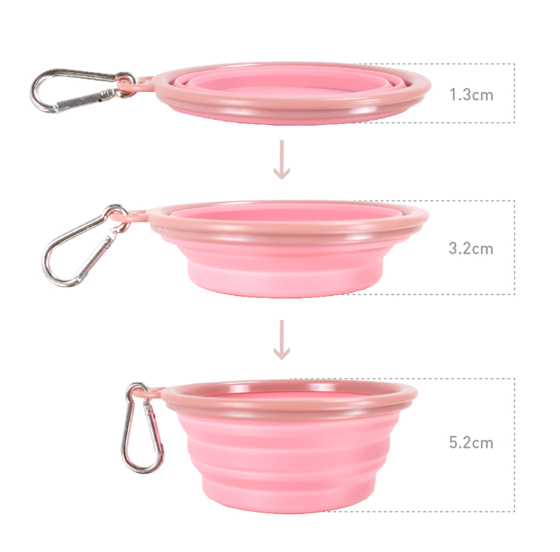 Quick Bite Collapsible Travel Pet Bowls