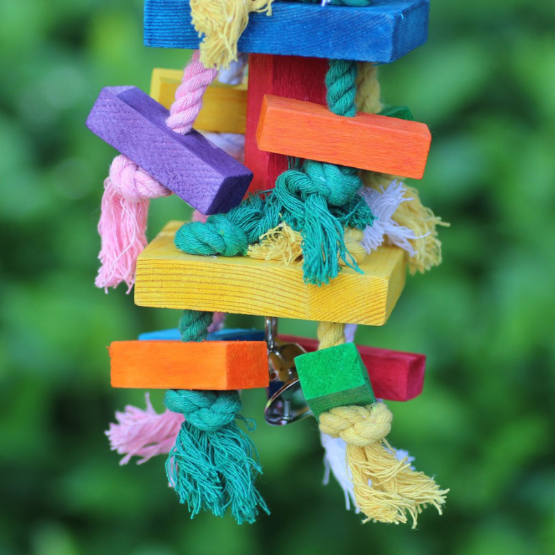 Hanging Chewing Swing Bird Toy