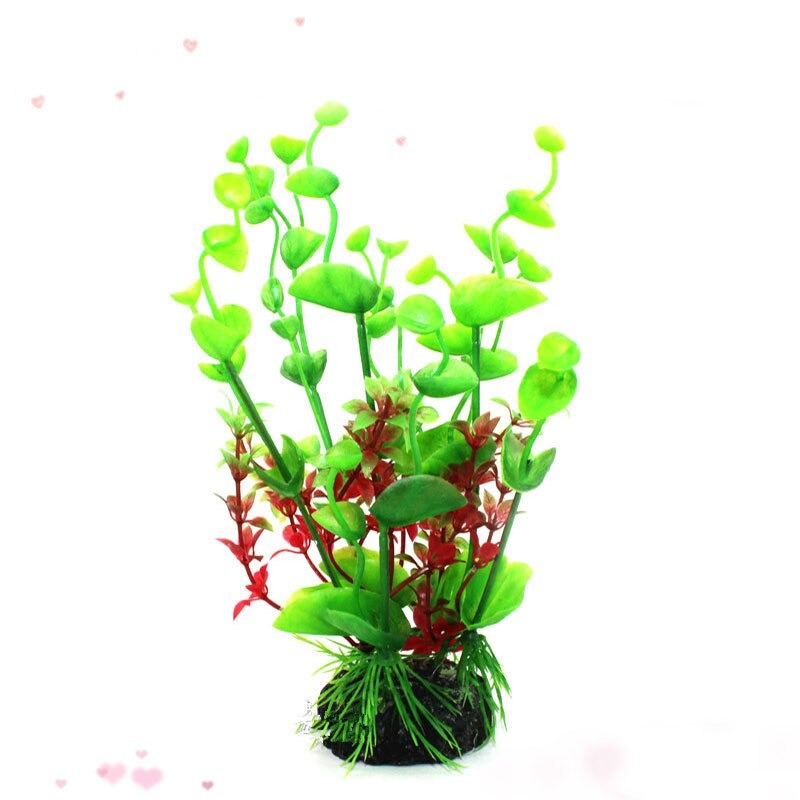 Large Aquatic Plant For Aquarium